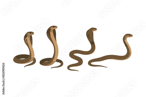 Cobra snake collection: realistic side views in neutral tones