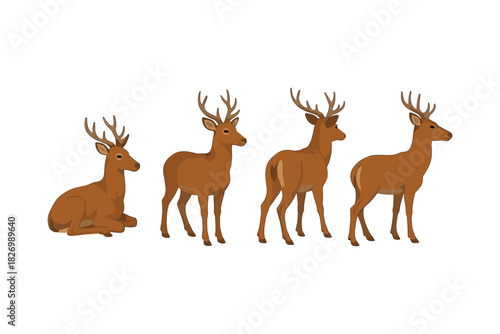 Four deer in varied poses on white background