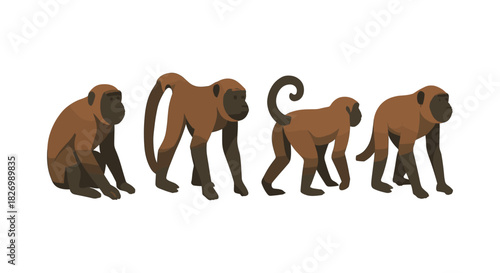 Flat design monkeys in various poses on white background