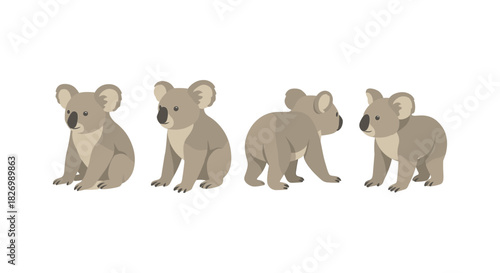 Cute koala bear set in flat style on white background