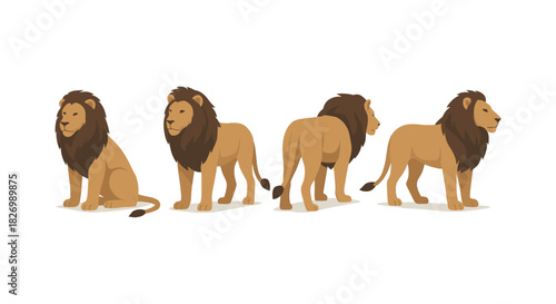 Group of lions in various poses on white background