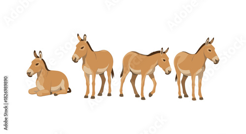 Przewalski's horse illustrations: four poses in flat style on white background