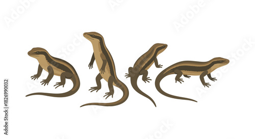 Stylized reptile profiles: four brown lizards in different poses on white background
