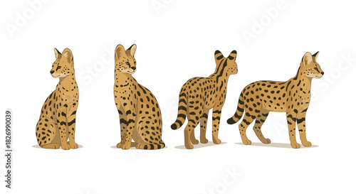 Four savannah cats in profile view with spotted coats