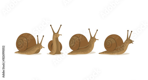 Realistic snail set on white background: diverse angles and positions