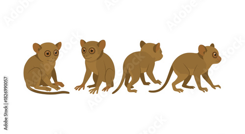 Cute cartoon tarsier in various poses on white background