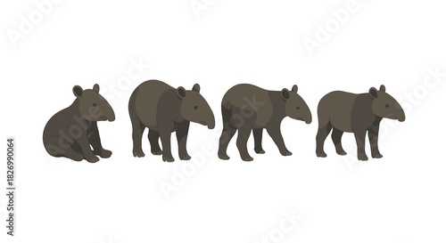 Flat style tapir evolution sequence: four stages of movement