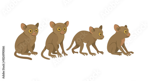 Evolution of tarsiers in flat style: adorable primates in various poses