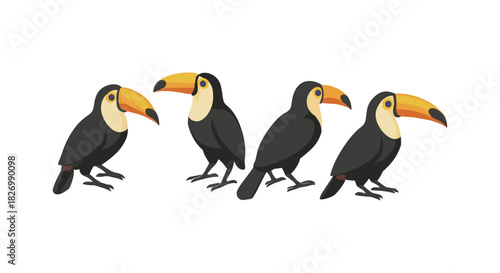 Colorful toucan birds in modern flat style on white background
