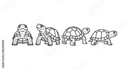 Cute outline turtles in different poses: black and white line art