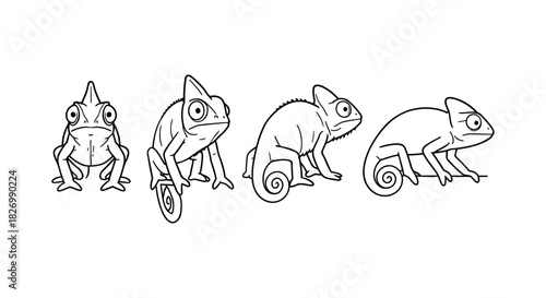 Linear chameleon evolution illustration: simple line art of chameleons