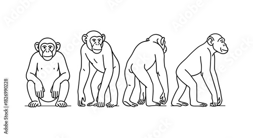 Chimpanzee poses in linear style: front, side, and back views