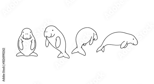 Simple manatee outline drawings in various poses