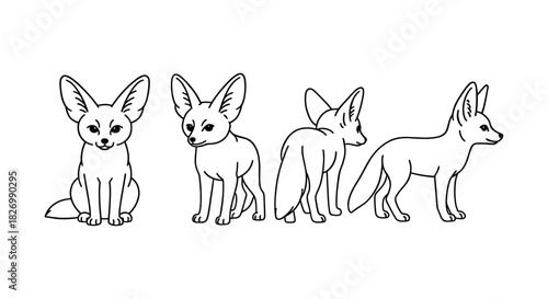Linear fennec fox outline in multiple angles for design projects