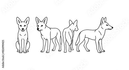 Outline dog poses: front, side, back views for design and animation