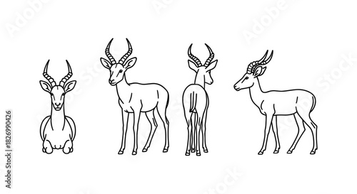 Elegant antelope silhouette: minimalist line art animals collection