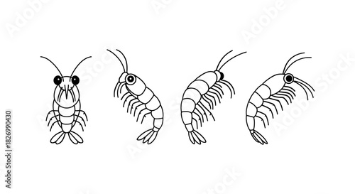 Minimalist kawaii kawaii shrimps in simple black line art