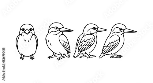 Linear bird silhouettes: various poses of kingfishers for nature designs