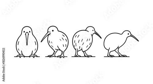 Kiwi silhouettes: charming bird line art set for nature illustrations