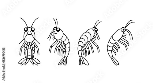 Sea creature collection: black and white line art crustaceans