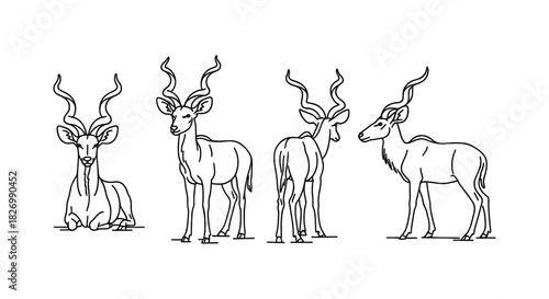 Elegant antelope line art: four views of graceful wildlife