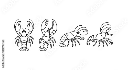 Line art crayfish variations showing different poses on white background