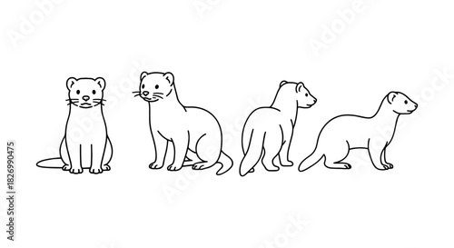 Ferret outline collection: four poses in minimalist style for pet enthusiasts