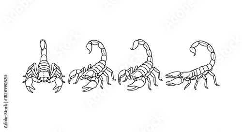 Set of scorpion line art illustrations showcasing different poses and details