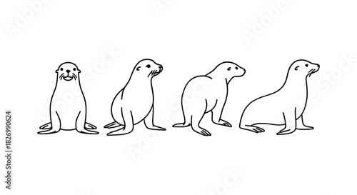 Cute sea lions in linear black and white minimalist art design
