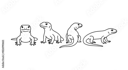 Komodo dragon sketches: linear outline of reptile poses