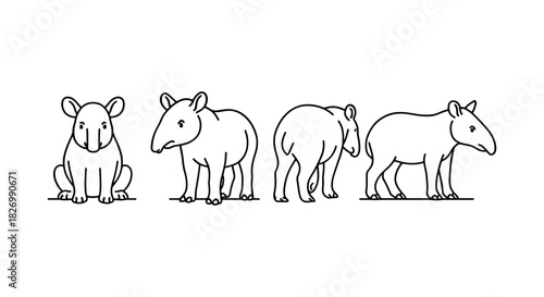 Cute tapir outlines in multiple poses: front, side, and back views