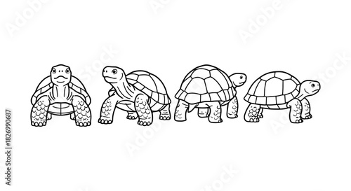 Hand drawn turtle collection in black and white line art