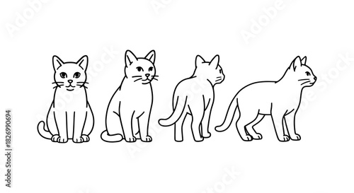 Cat in various poses: front, side, and rear views in minimalist line art
