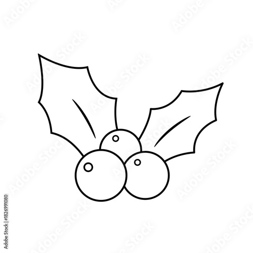 Christmas holly berry outline illustration with leaves and round berries