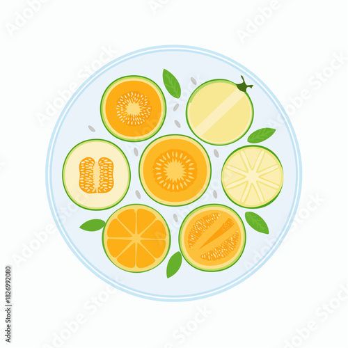 A vibrant overhead view of a circular platter filled with assorted sliced fruits, showcasing a colorful and refreshing assortment of nature's bounty