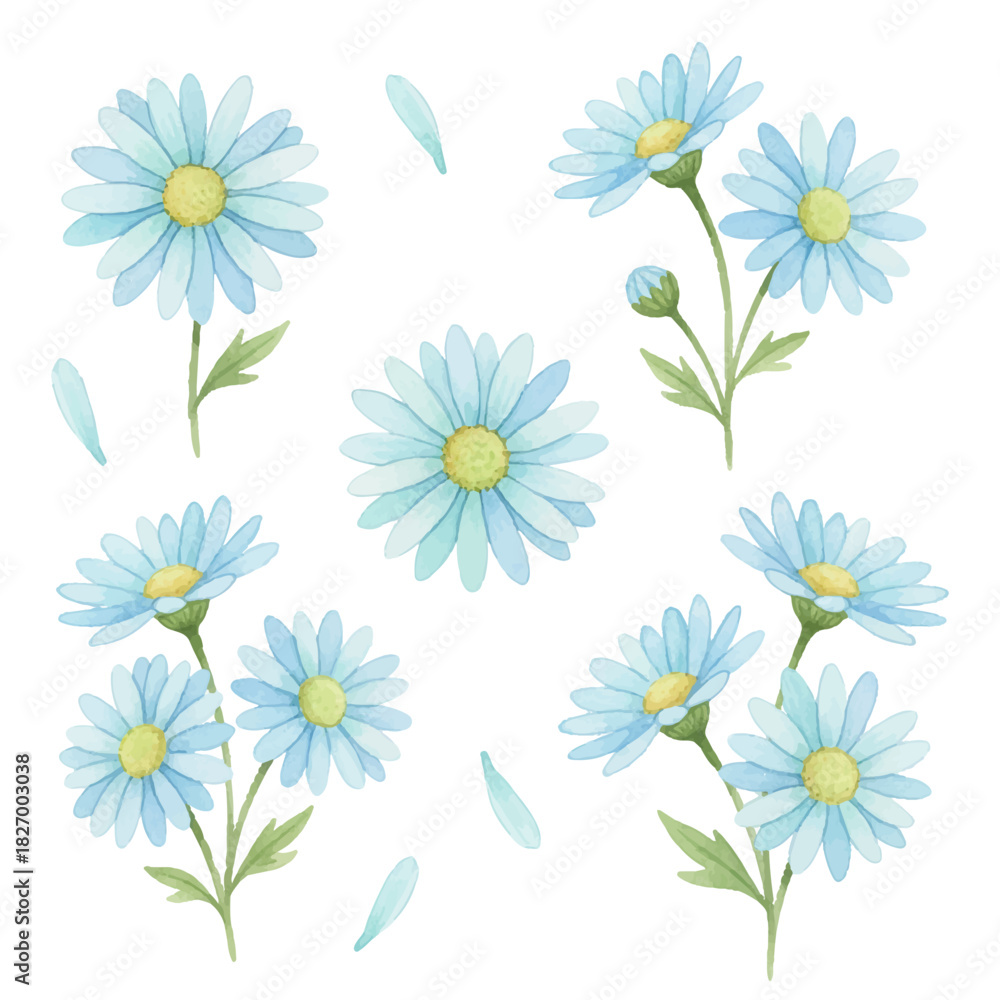 Fototapeta premium Blue daisies set with stems and loose petals. Delicate summer flowers with vibrant yellow centers.