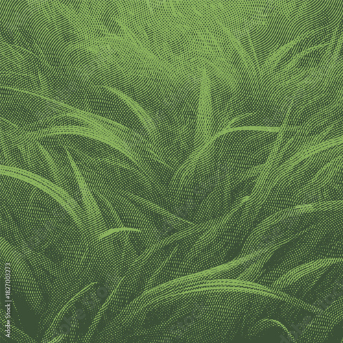 grass 04Halftone abstract grass texture background in green tones.
