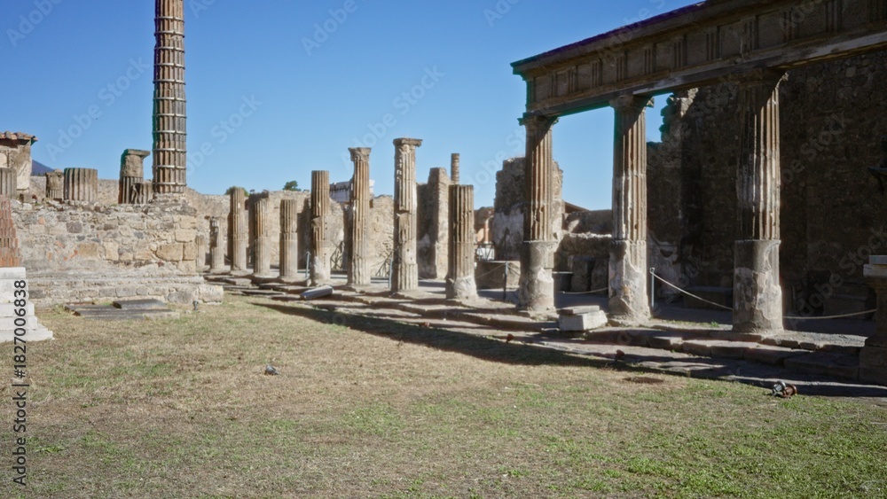 Fototapeta premium Ancient roman colonnade shown in soft defocused focus across an open plaza; background backdrop copyspace.