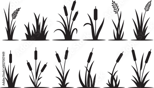 Cattail icon vector set. reeds illustration sign collection. swamp symbol. grass logo