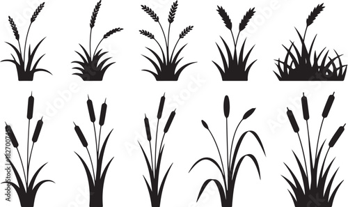 Cattail icon vector set. reeds illustration sign collection. swamp symbol. grass logo