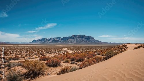 Fototapeta Naklejka Na Ścianę i Meble -  Desert landscape with a plateau in the background, dry bushes, and sand dunes under a blue sky.