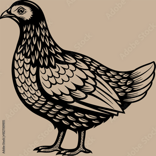 Closeup shot of a hen sitting on the grass with its chicken