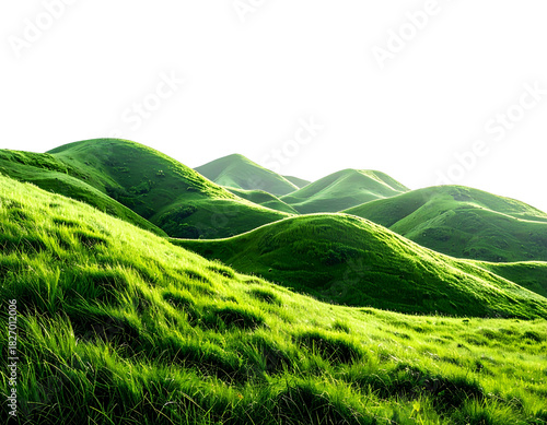 Rolling green hills illuminated by golden hour light