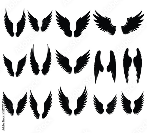 wing, angel, feather, bird, black, set, collection, graphic, design, element, symbol, silhouette, tattoo, heaven, freedom, flight, spirituality, divine, mystic, fantasy, creature, mythology, religion,