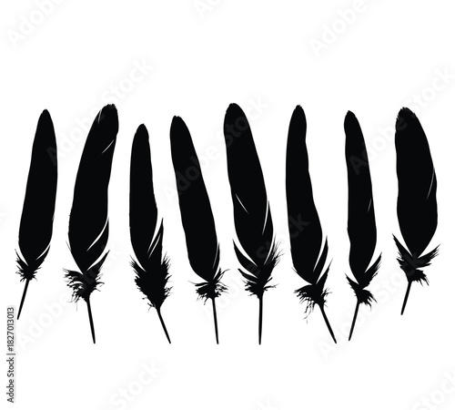 Eight individual black feathers, displaying intricate details and soft textures, neatly aligned in a horizontal row, creating an elegant visual, isolated on white background
