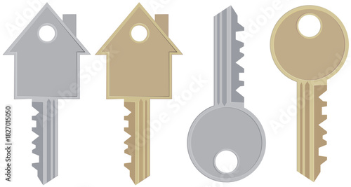 Set of four metal keys: two house-shaped keys (silver and gold) and two standard keys (silver and gold). Concept for real estate, home ownership, or security. (cut out)