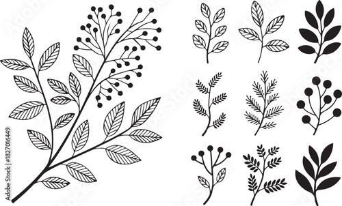 Minimal feminine botanical floral branch in silhouette style. Hand drawn wedding herb, minimalistic flowers with elegant leaves. Botanical rustic trendy greenery vector