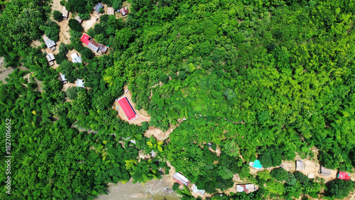 Aerial view of lush green forest with scattered buildings, Aerial view of lush green forest with scattered buildings
