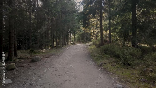 Cinematic Forest Mountain Trail in the Tatra Mountains, 4K