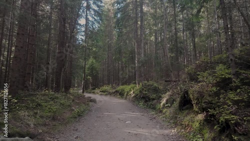 Cinematic Forest Mountain Trail in the Tatra Mountains, 4K